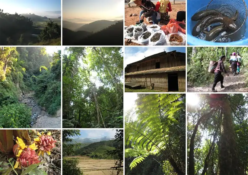 Mountain Scenery and Culture of Xishuangbanna