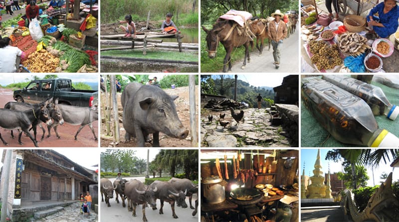 Mountain Scenery and Culture of Xishuangbanna