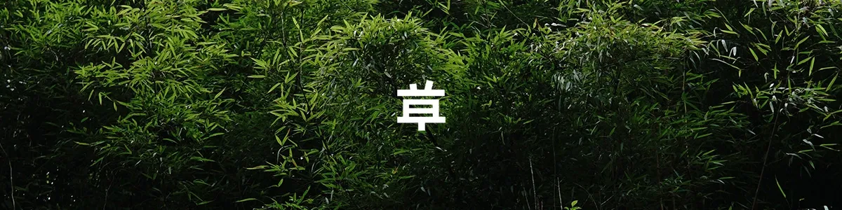 About this site